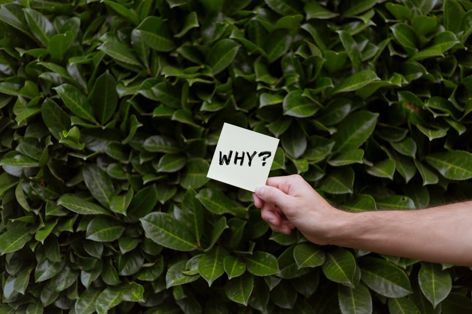 Why Nutrilite: Quality, Testing & Ingredient Standards Explained
