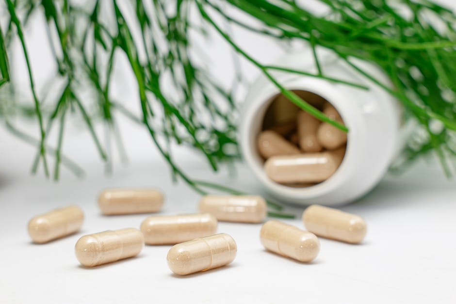 Grape Seed Extract (OPCs)